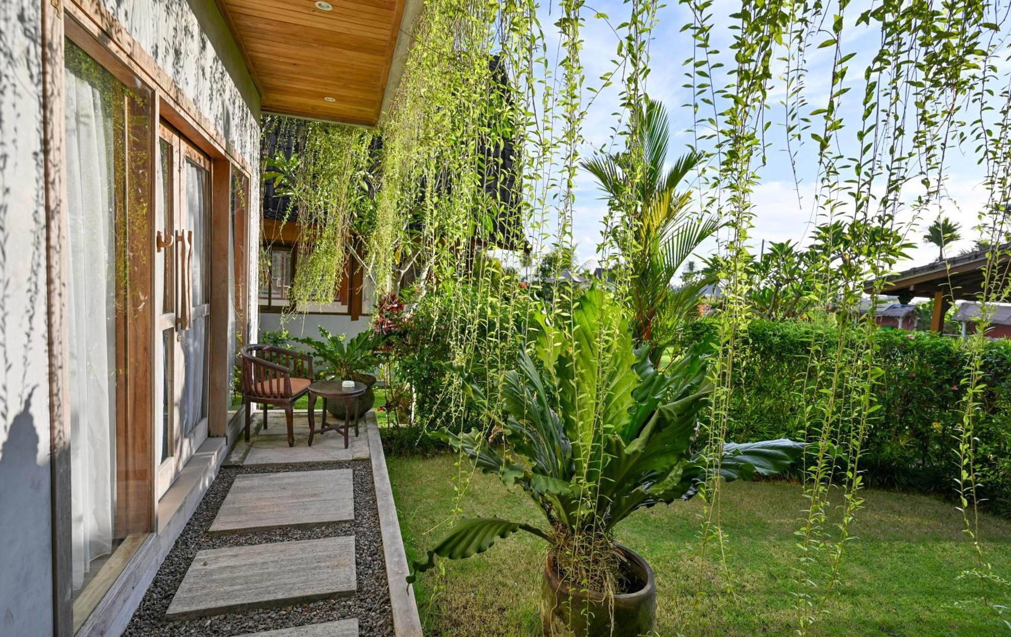 Canggu Wooden Green Paradise Rom bilde